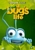 A Bug