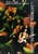 G3 - Live In Concert Music DVD