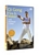 cheap Qi Gong Fire DVD