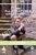 All Creatures Great And Small - Series 6 - Complete