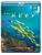 Great Barrier Reef [Blu-ray] Natural History Blu Ray