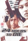 24 Hours To Die [2001]