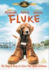 Fluke [1995]