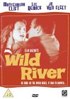 Wild River [1960]