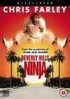 Beverly Hills Ninja [1997]