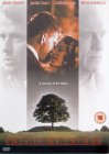 This Is My Father [1998]