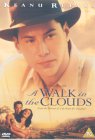 A Walk in the Clouds [1995]
