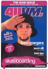 Bam Margera 411VM