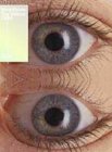 Warp Vision - The Videos 1989 To 2004
