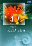 Nature's Beauty - The Red Sea
