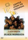 Ladysmith Black Mambazo - Gentle Steps To Freedom