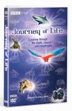 Journey Of Life
