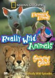 Really Wild Animals - Farmyard Friends / Swinging Safari
