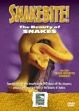 Snake Bite - The Beauty Of Snakes