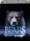 Bears [2003]