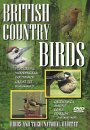 British Country Birds