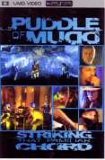 Puddle Of Mudd - Striking That Familiar Chord [UMD Universal Media Disc]