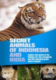Wildlife - Secret Animals Of Indonesia And India