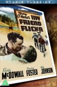 My Friend Flicka [1943]