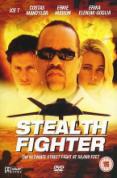 Stealth Fighter