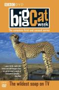 Big Cat Week - Series 1 And 2
