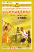 Shaozi Cudgel vs Spear