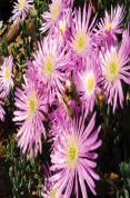 Top Tips For Spring And Summer