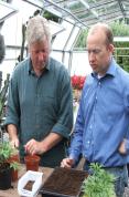 Top Tips On Traditional Gardening Techniques