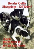 Border Collie Sheepdogs - Off Duty [2005]
