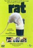 Rat