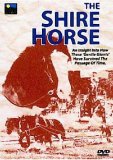 The Shire Horse