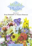 A World Of Plants