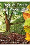 British Trees And Woodland
