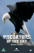 Wildlife Paradise - Predators in the Sky