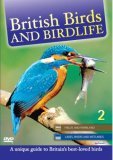 British Birds - Vol 2