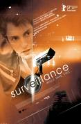Surveillance