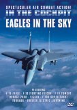 In The Cockpit - Eagles In The Sky