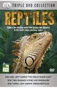 Reptiles