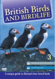 British Birds - Vol 3