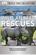 Wild Animal Rescue
