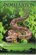 Animal Nation - Snakes - The Whole Story