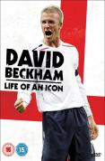 David Beckham The Life Of An Icon