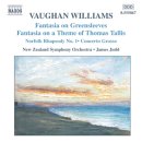 Vaughan Williams: Orchestral Music [DVD AUDIO]