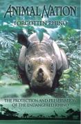 Animal Nation - Forgotten Rhino