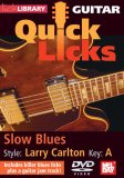 Guitar Licks - Larry Carlton