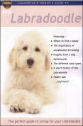 Owners Guide To Your Labradoodle