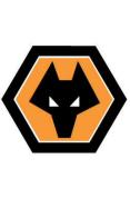 Wolverhampton Wanders Season Review 2007-2008
