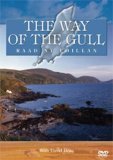 The Way Of The Gull [1993]