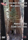 Discover America - Mariposa Grove