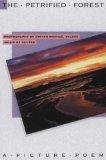 Stephen Michael Valdez - the Petrified Forest
